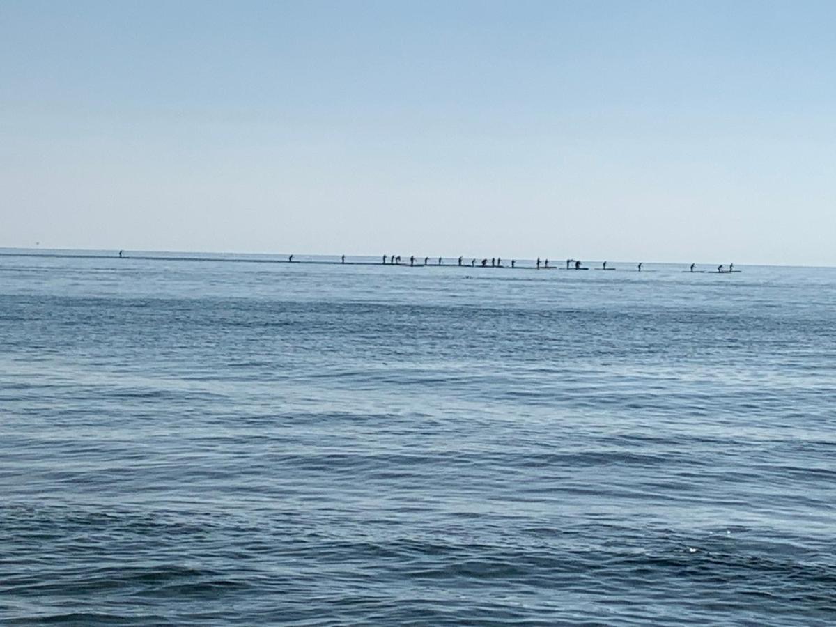 Apartamentoen La Playa, 200 Mts De La Playa Nuevo Santa Pola Buitenkant foto