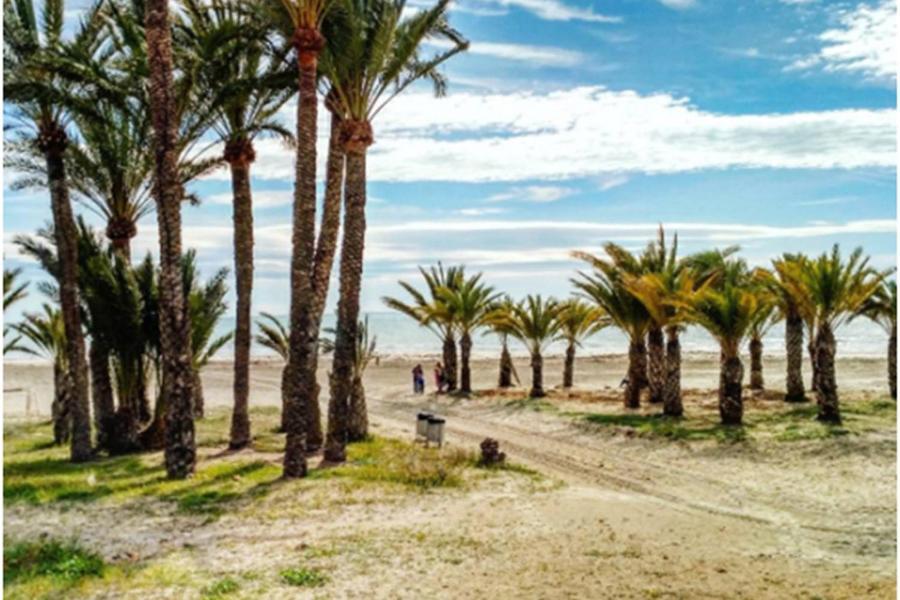 Apartamentoen La Playa, 200 Mts De La Playa Nuevo Santa Pola Buitenkant foto